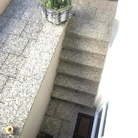 Feldmann Freckenfeld